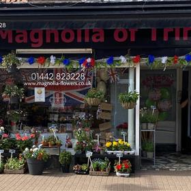 fwthumbFront of shop.jpg